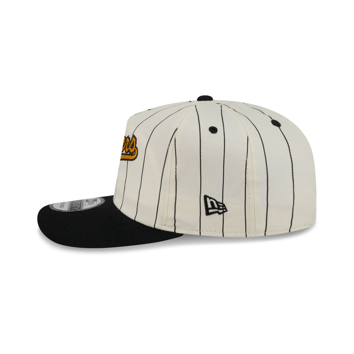 Pittsburgh Steelers Chrome White Pinstripe 19TWENTY Snapback Hat