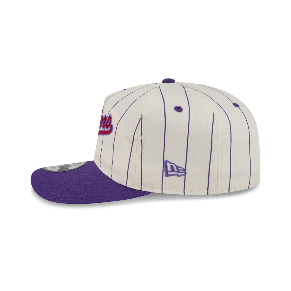 Toronto Raptors Chrome White Pinstripe 19TWENTY Snapback Hat
