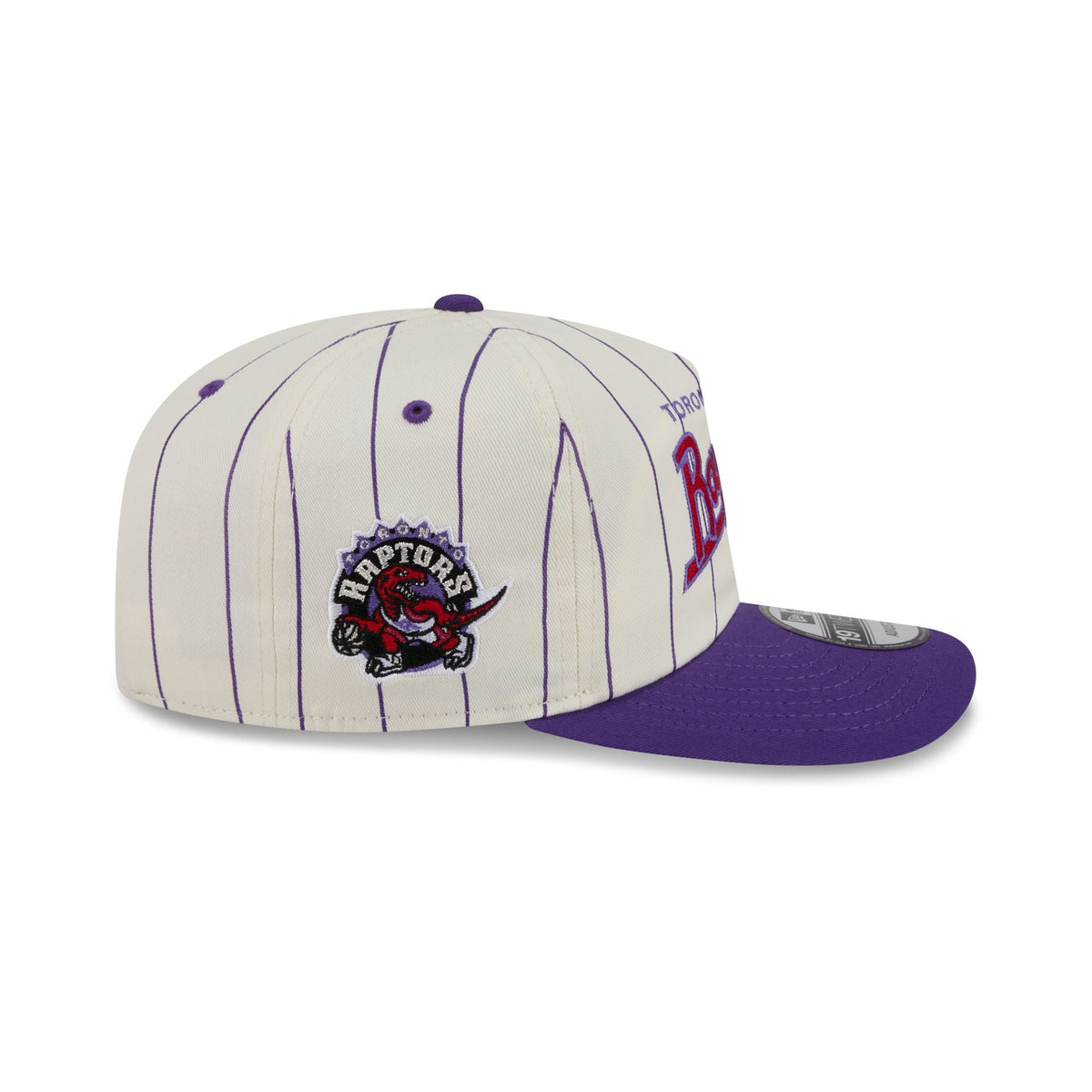 Toronto Raptors Chrome White Pinstripe 19TWENTY Snapback Hat
