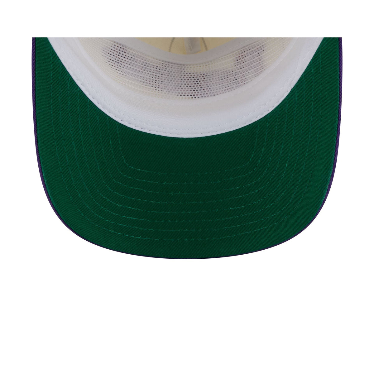 Toronto Raptors Chrome White Pinstripe 19TWENTY Snapback Hat