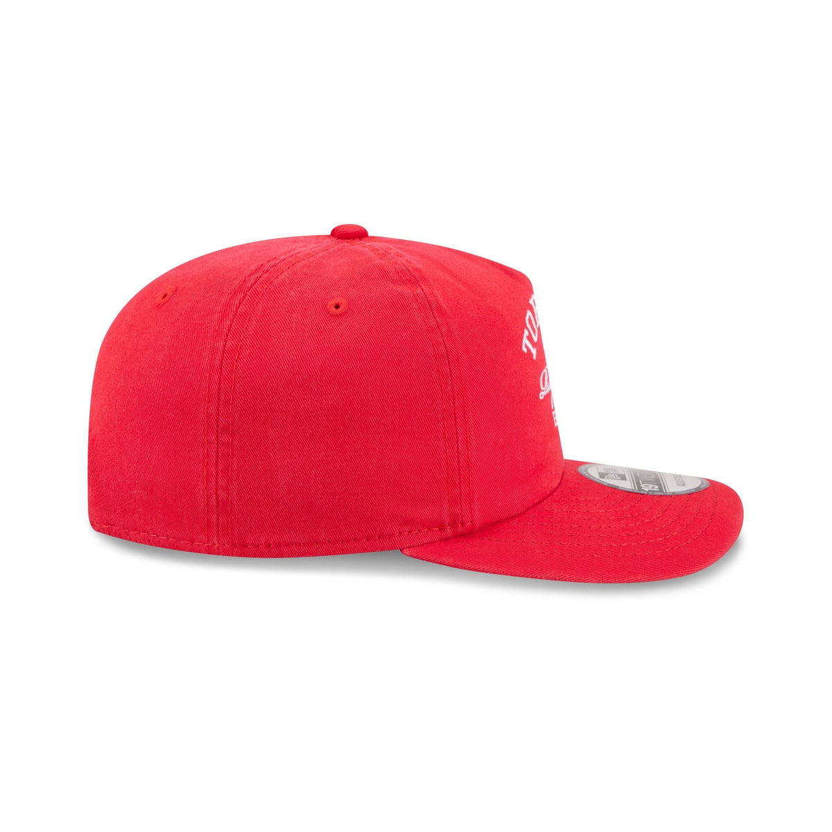 Toronto Raptors Arched Graphic 19TWENTY Snapback Hat