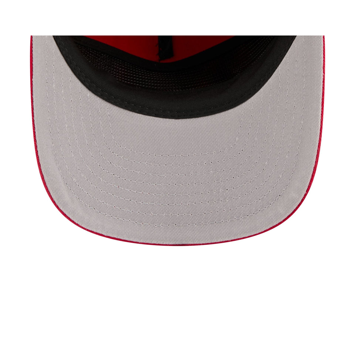 San Francisco 49ers Arched Graphic 19TWENTY Snapback Hat