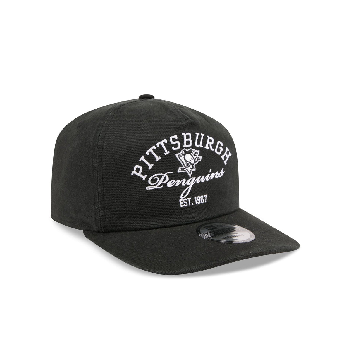 Pittsburgh Penguins Arched Graphic 19TWENTY Snapback Hat
