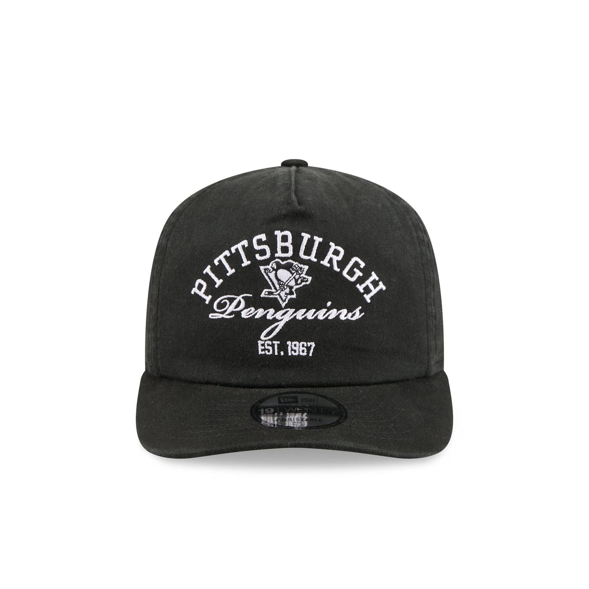 Pittsburgh Penguins Arched Graphic 19TWENTY Snapback Hat