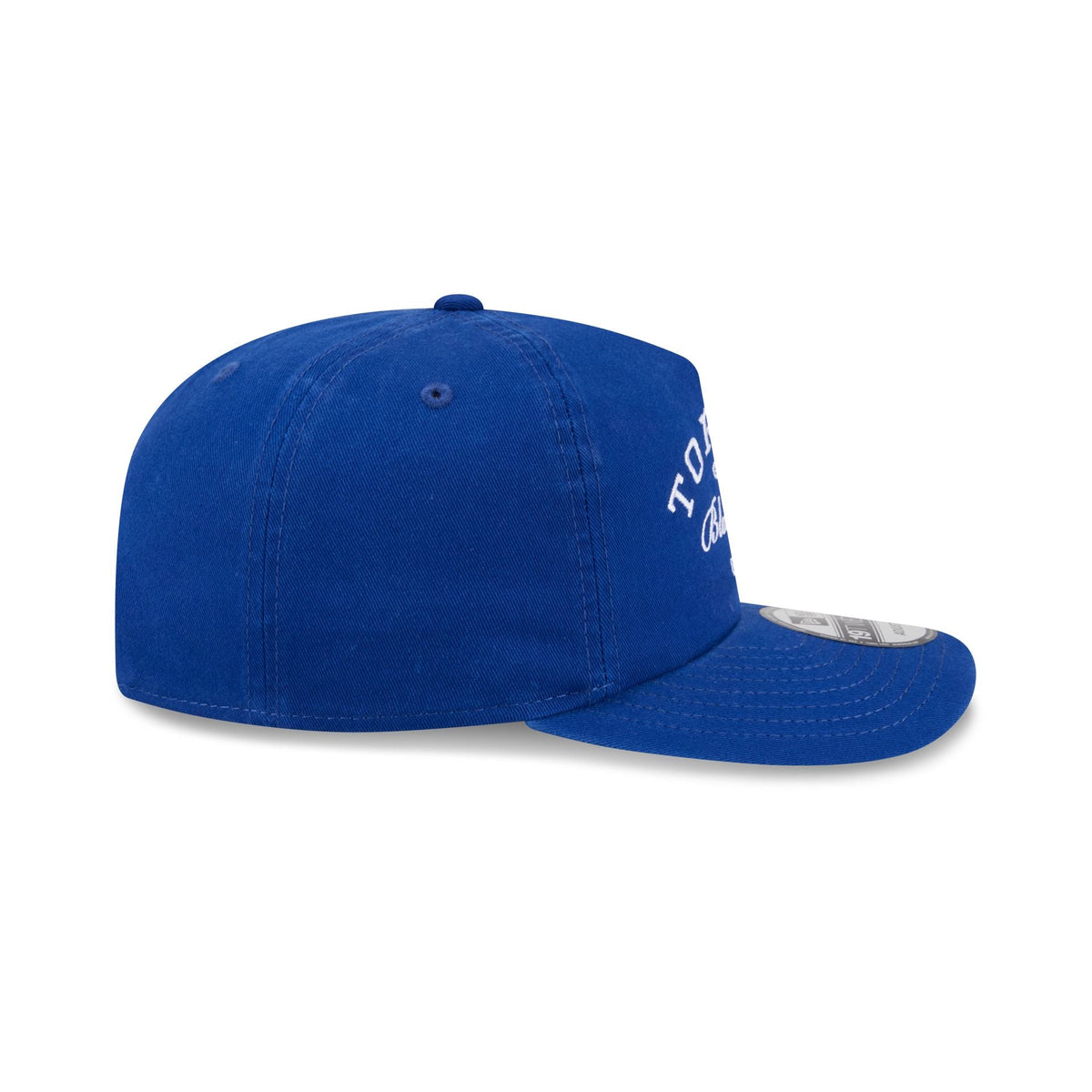 Toronto Blue Jays Arched Graphic 19TWENTY Snapback Hat