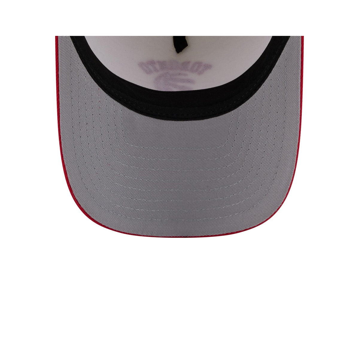 Toronto Raptors Arched Graphic Chrome White 9FORTY M-Crown A-Frame Snapback Hat