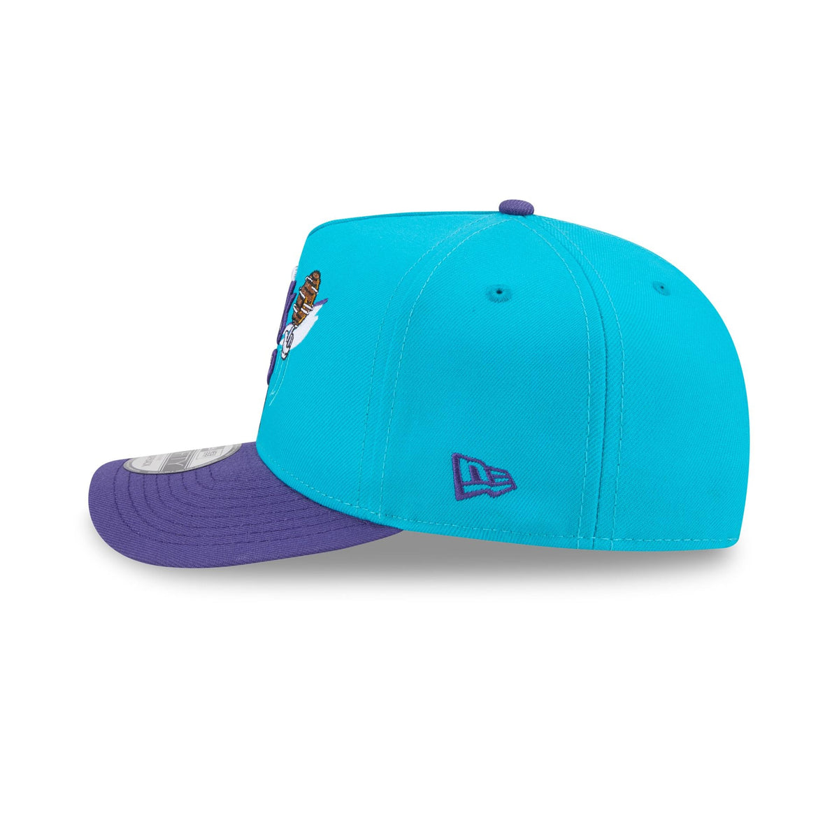 Charlotte Hornets Cartoon 9FIFTY A-Frame Snapback Hat
