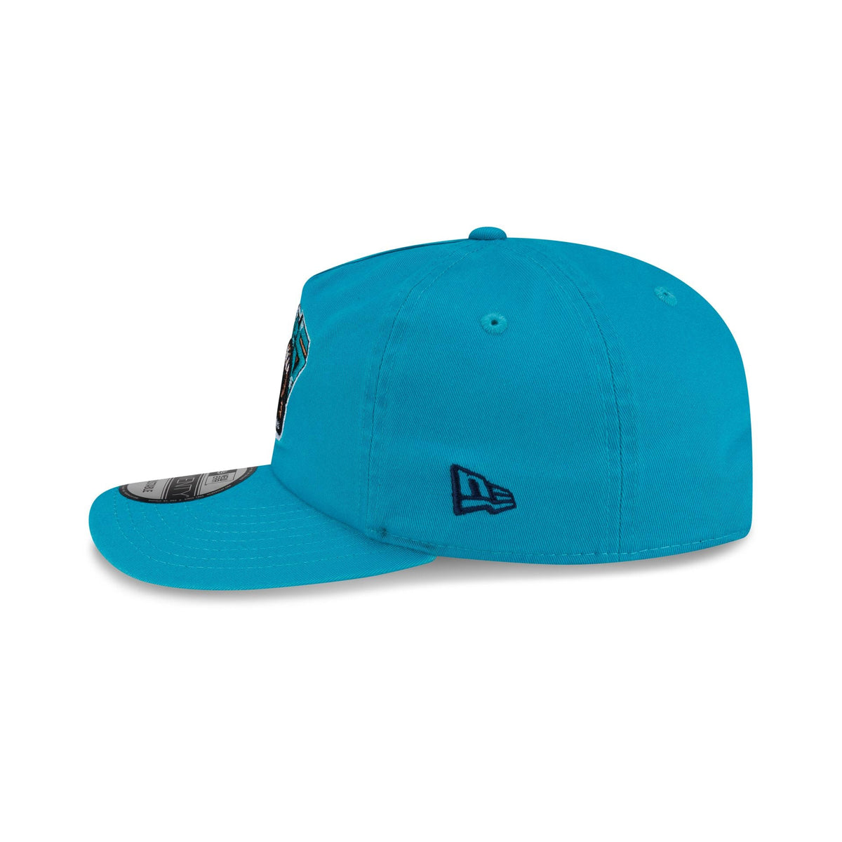 Vancouver Grizzlies Hardwood Classics 19TWENTY Snapback Hat