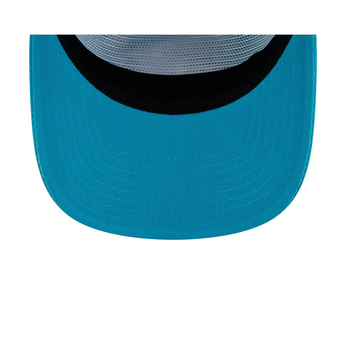 Vancouver Grizzlies Hardwood Classics 19TWENTY Snapback Hat