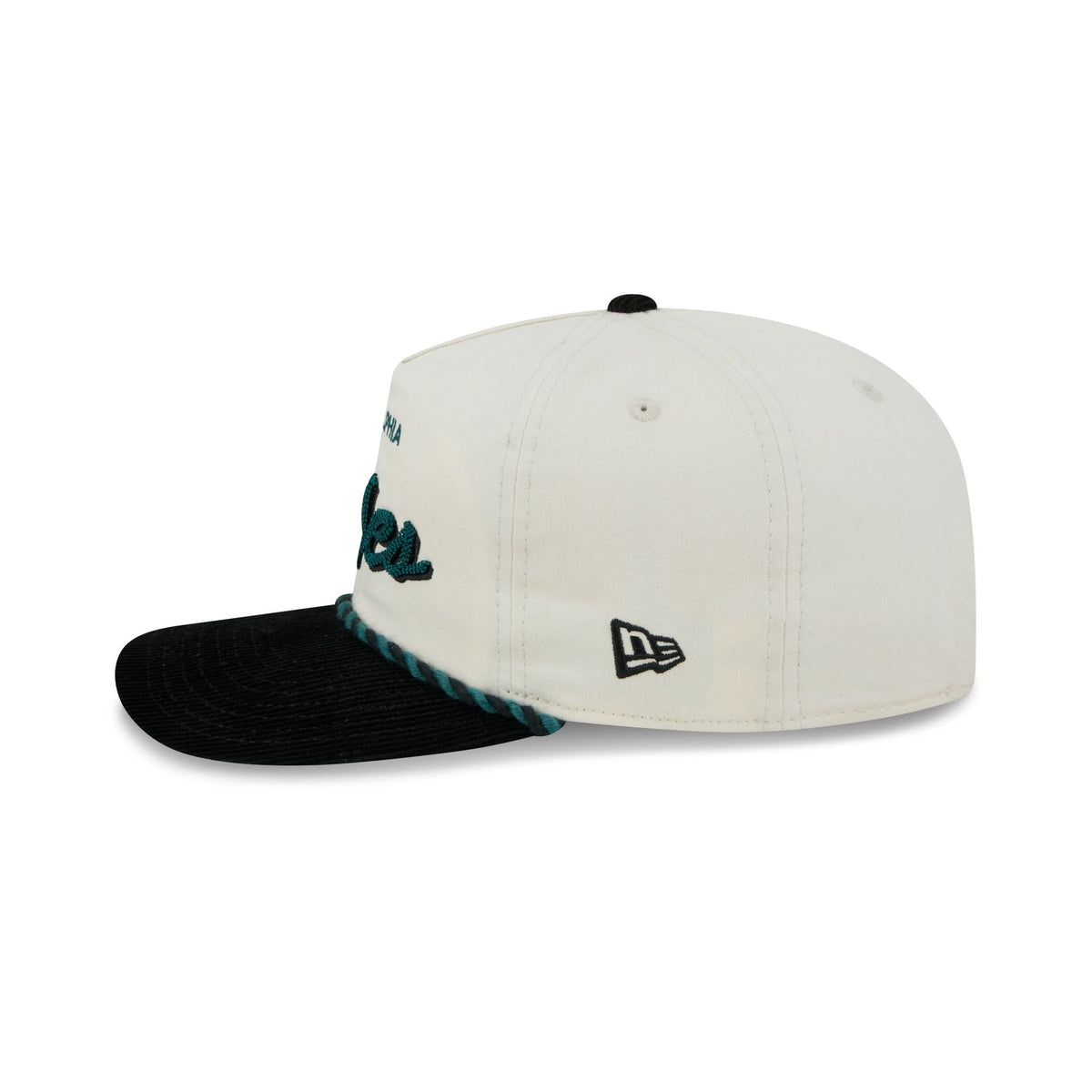 Philadelphia Eagles Retro Pack Script Rope 19TWENTY Snapback Hat